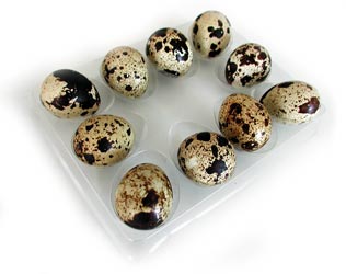 10 Eier auf  Schachtel-Einsatz