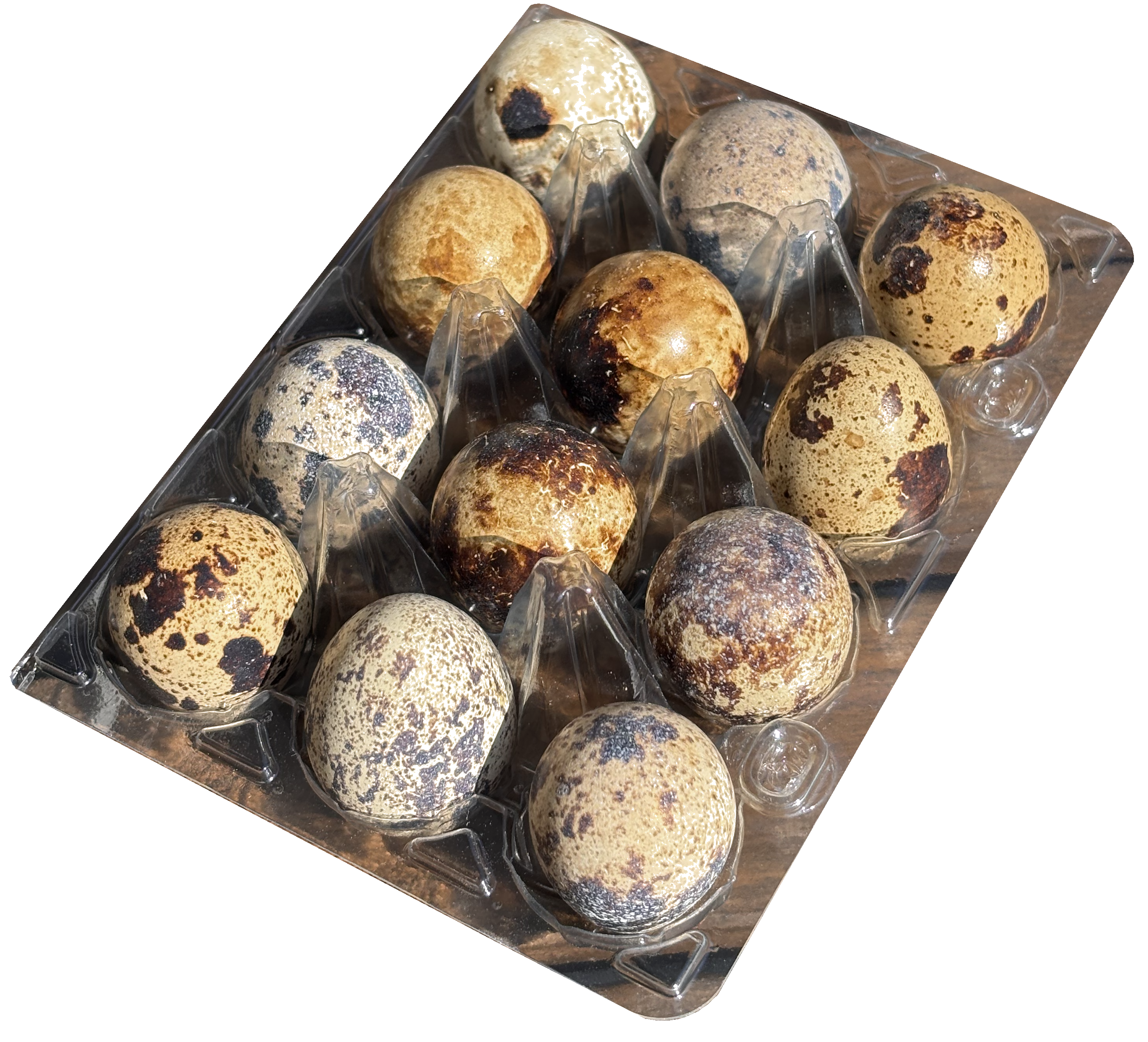 12 Eier in Schachtel